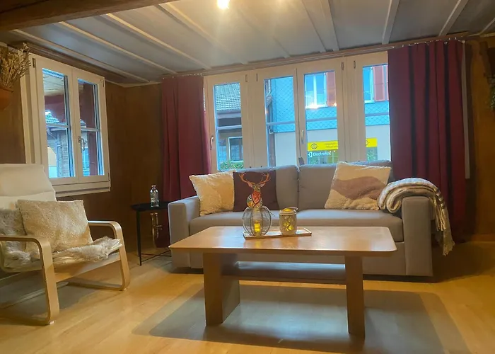 Cosy Apartment In Heritage Protected Swiss Chalet