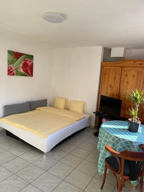 Aeschi 9 Apartment Interlaken
