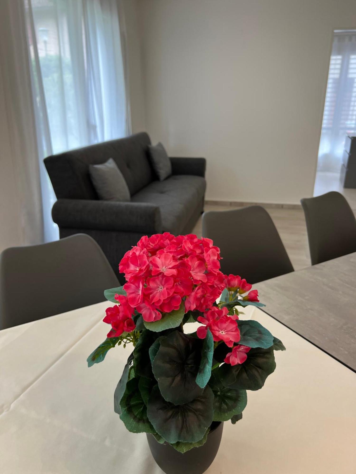 Apartment Tom Interlaken