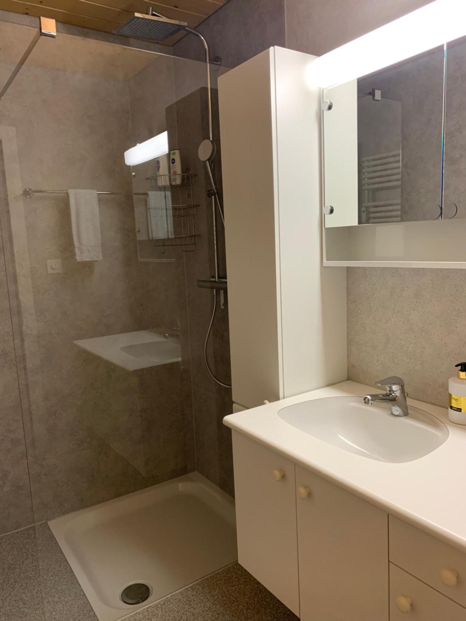 Apartment Niesenblick