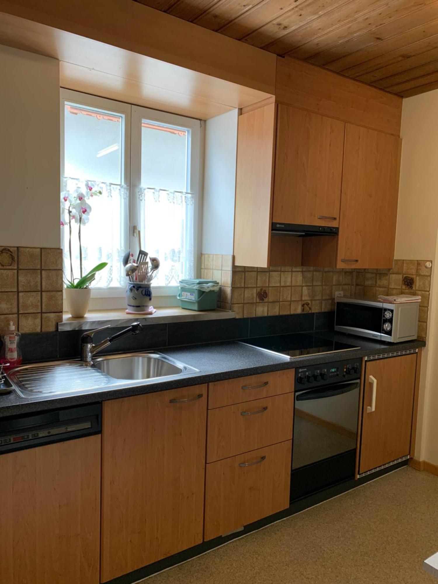 Apartment Niesenblick *