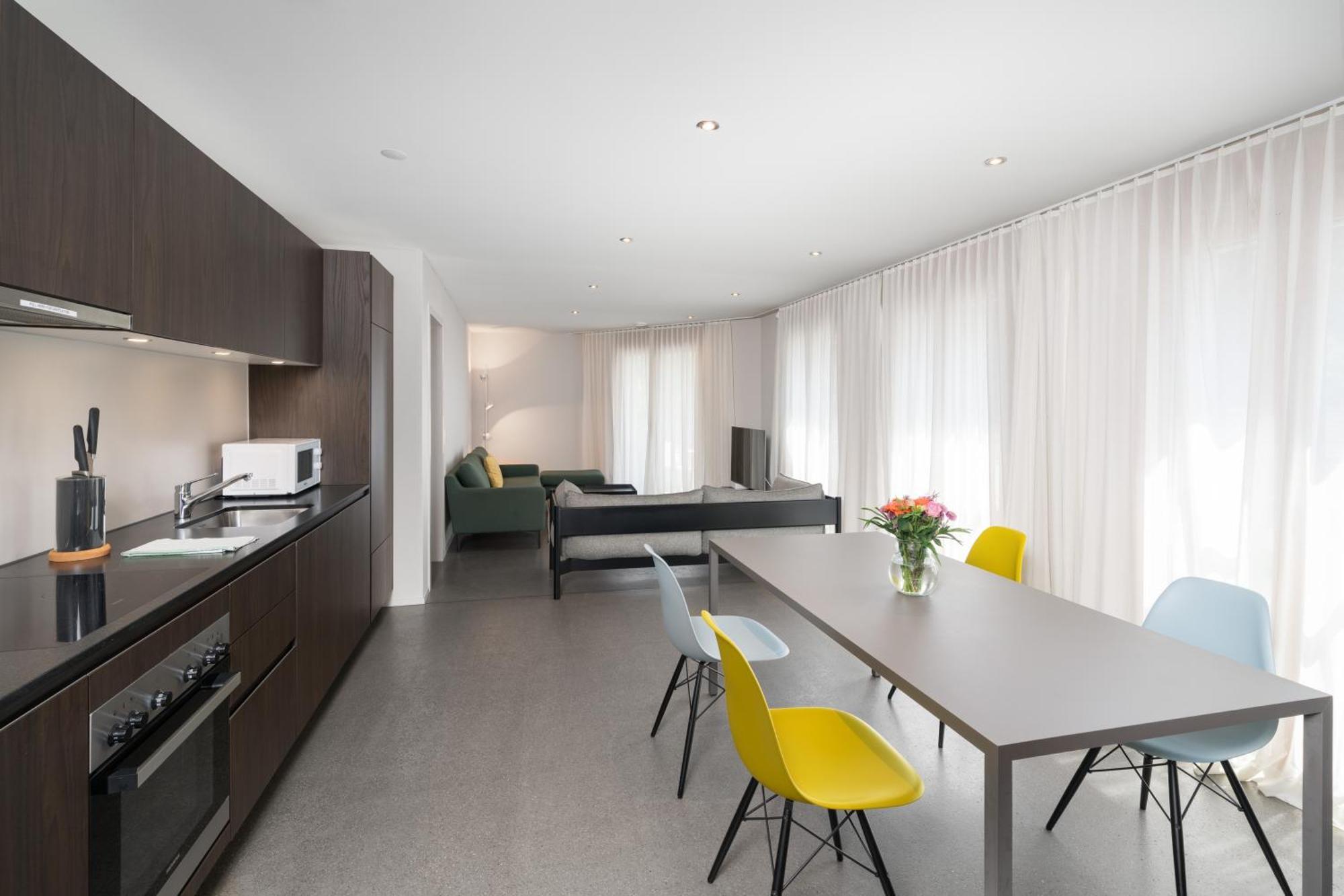 Modern Apartment Interlaken