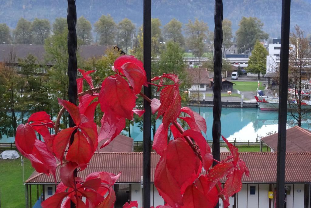 Apartment Brienzstrasse 30 Interlaken
