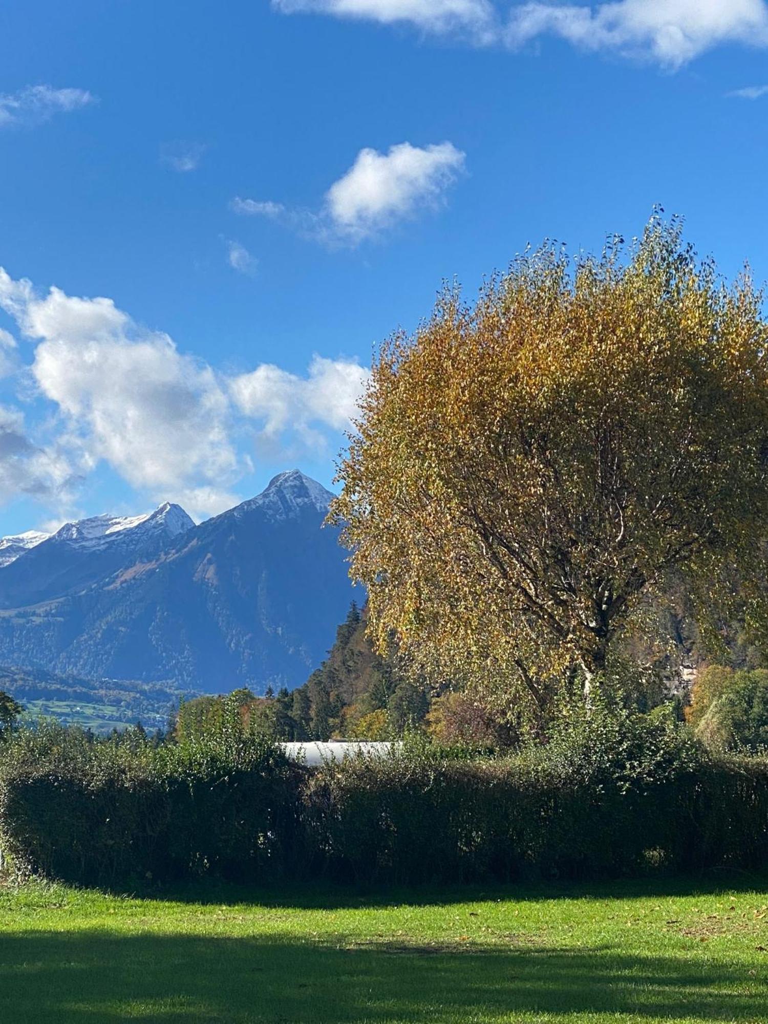 Unique Tiny Eco With Gorgeous Views To Jungfrau Massiv Interlaken