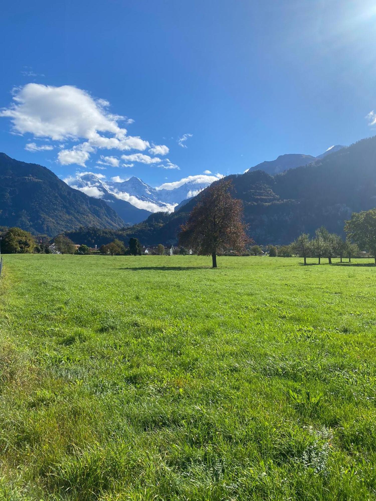 Unique Tiny Eco With Gorgeous Views To Jungfrau Massiv Holiday home *