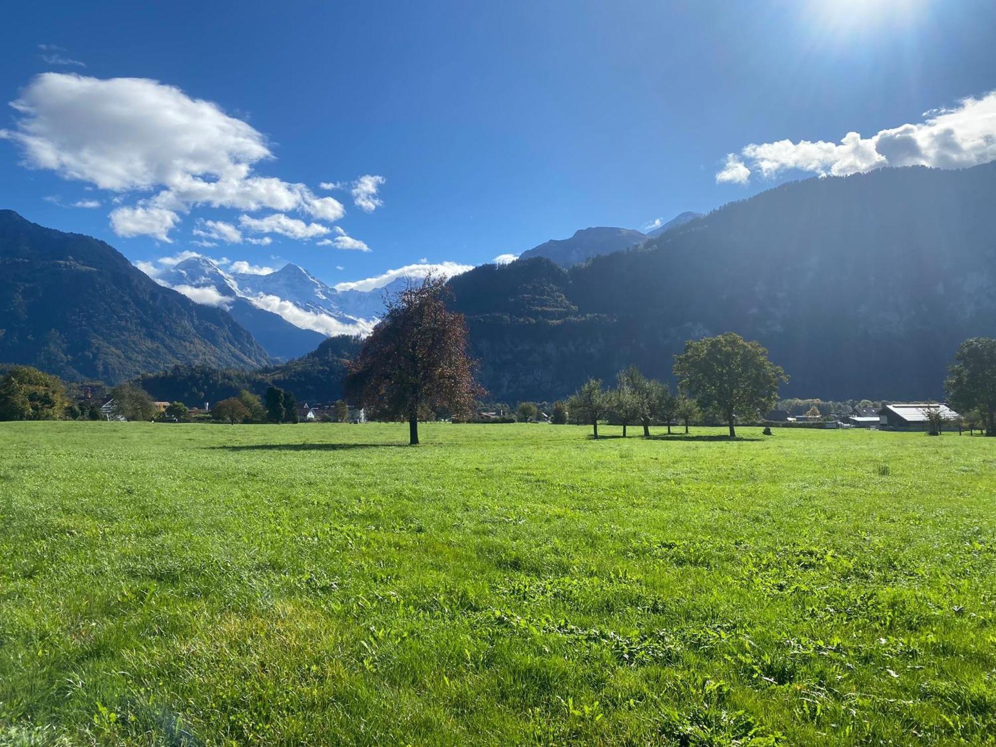 Unique Tiny Eco With Gorgeous Views To Jungfrau Massiv Holiday home