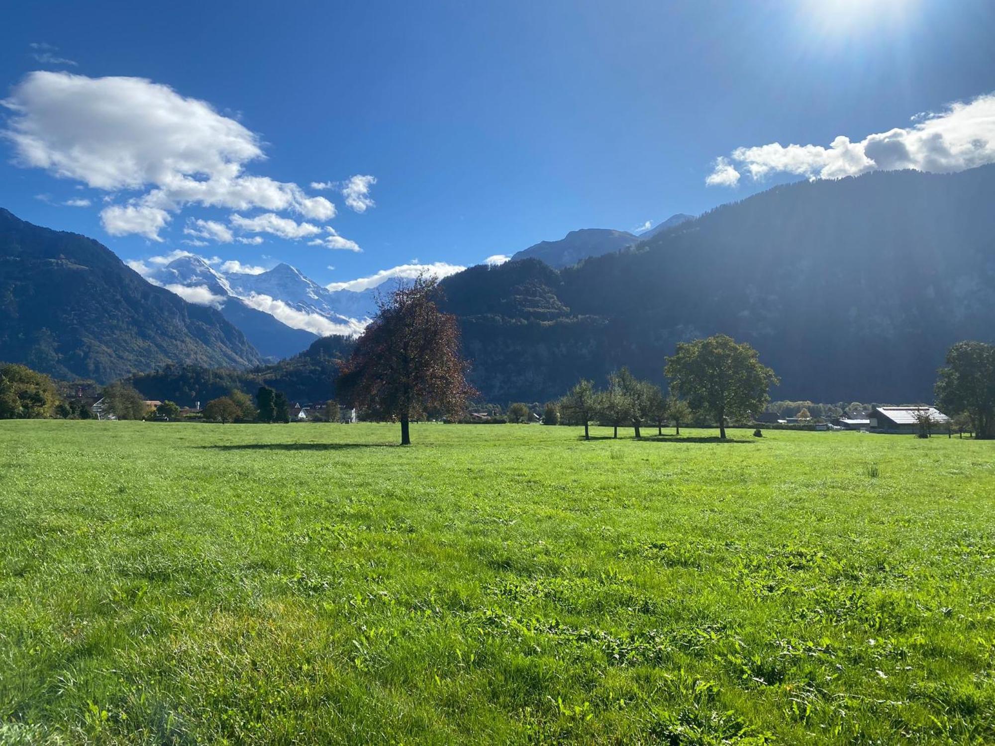 Unique Tiny Eco With Gorgeous Views To Jungfrau Massiv *