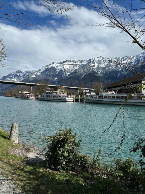 104 - Riverside Interlaken