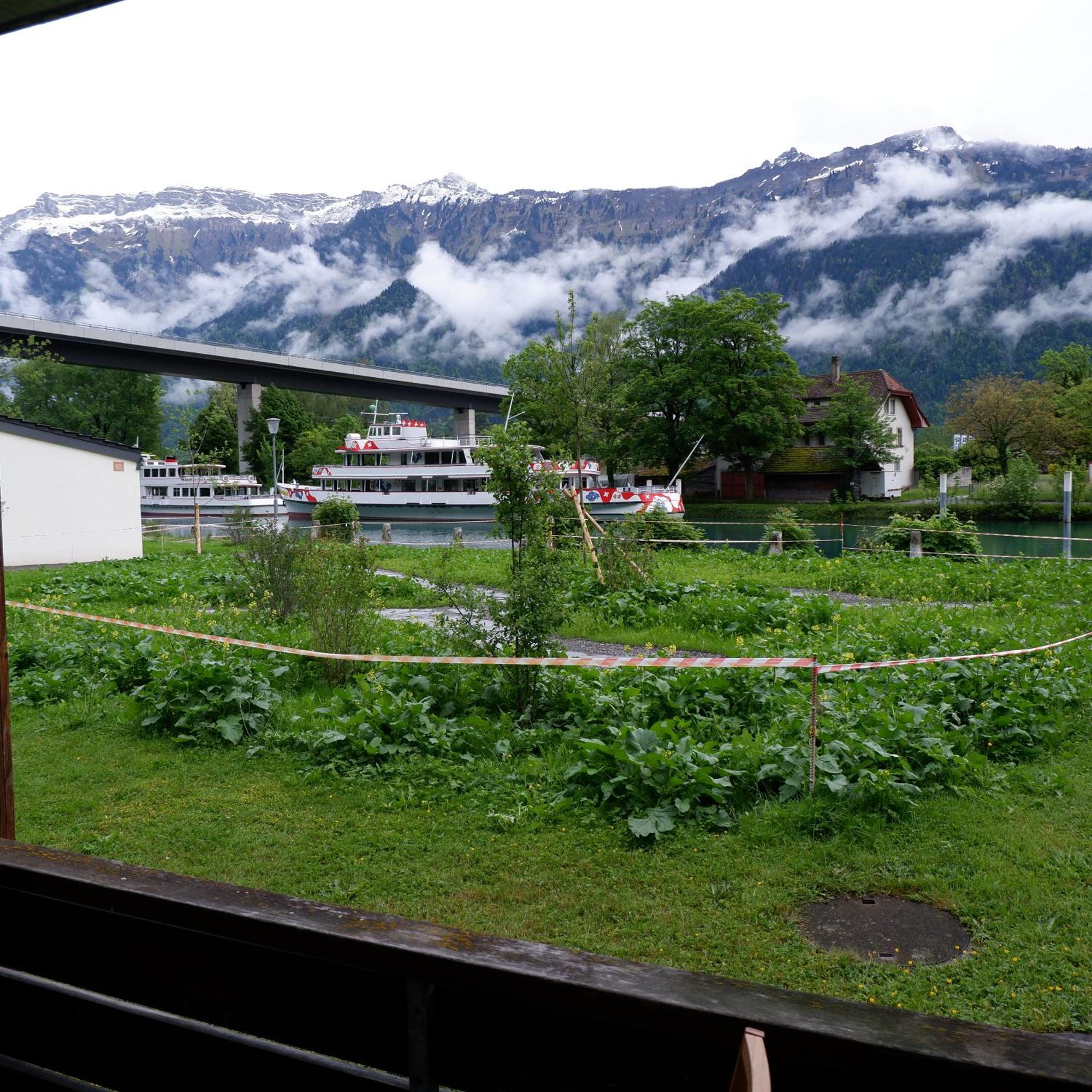Aare 2