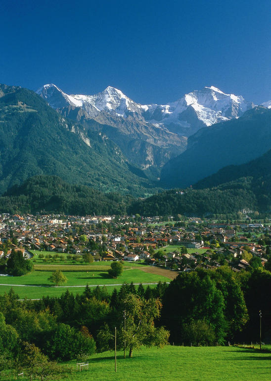 Blume 2* Interlaken